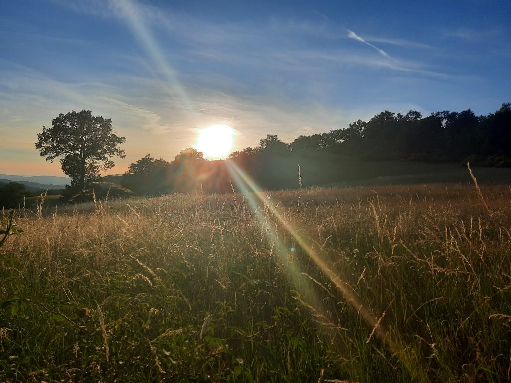 Parola di Luce
