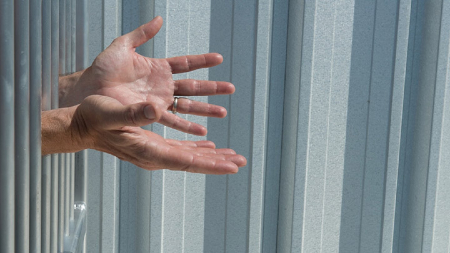 Nel dubbio la forza della profezia